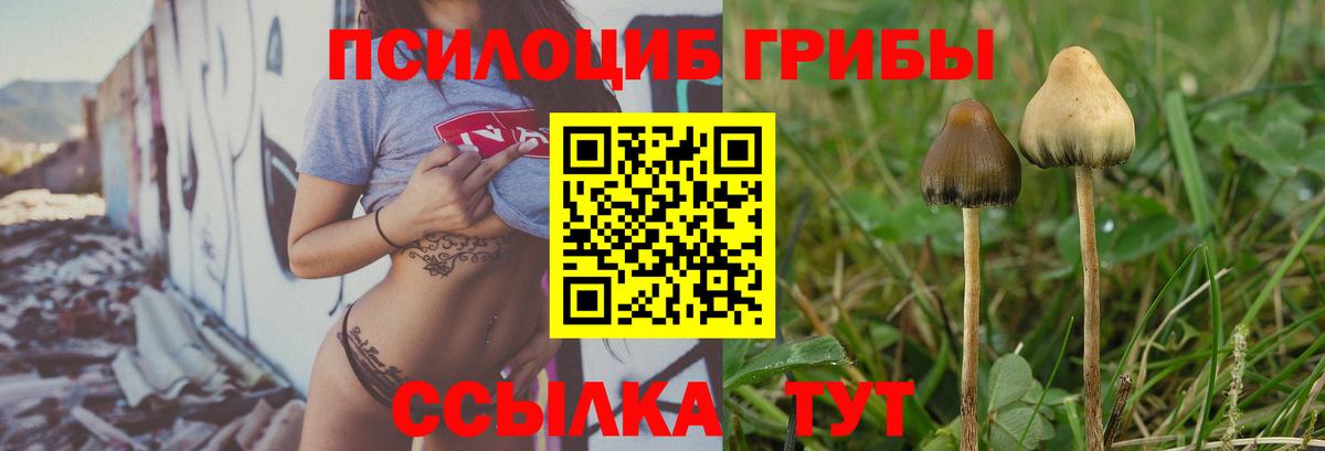 Псилоцибиновые грибы GOLDEN TEACHER  Вход с VPN  Салехард 